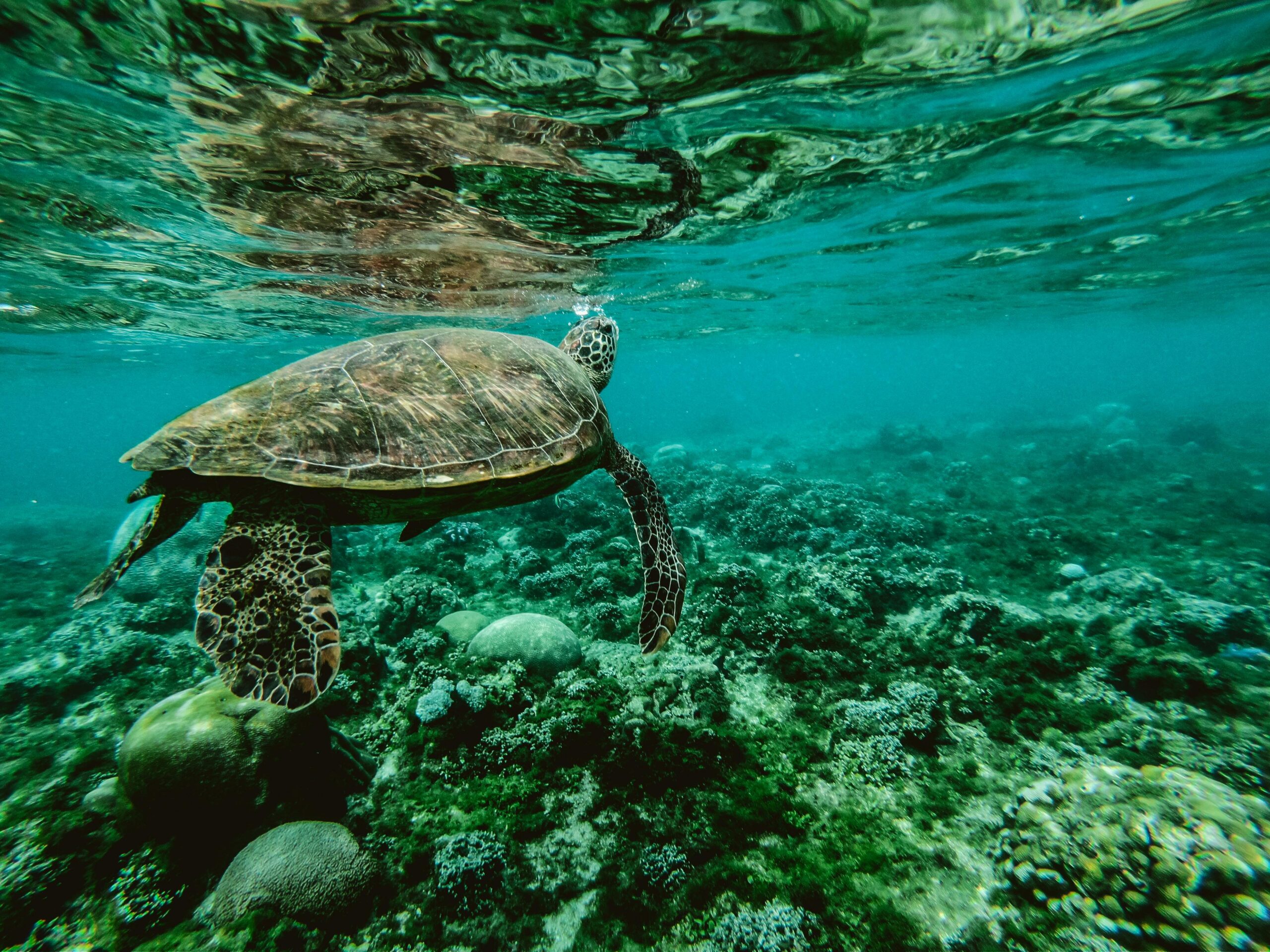 Cairns and Great Barrier Reef Region