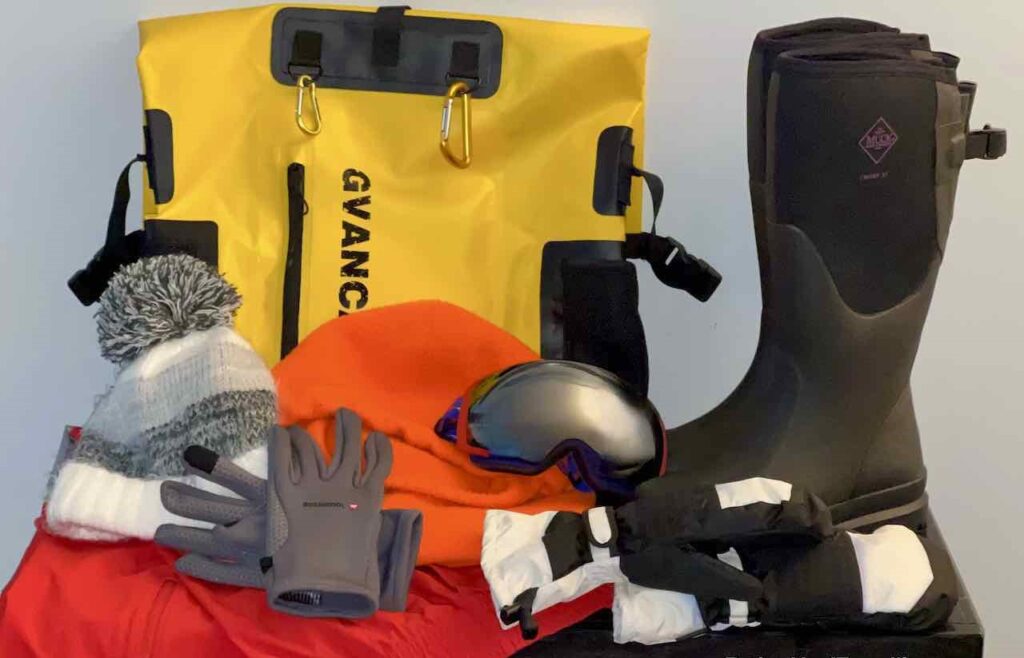 Important Things to Pack When Going For Whale Watching In the Antarctic