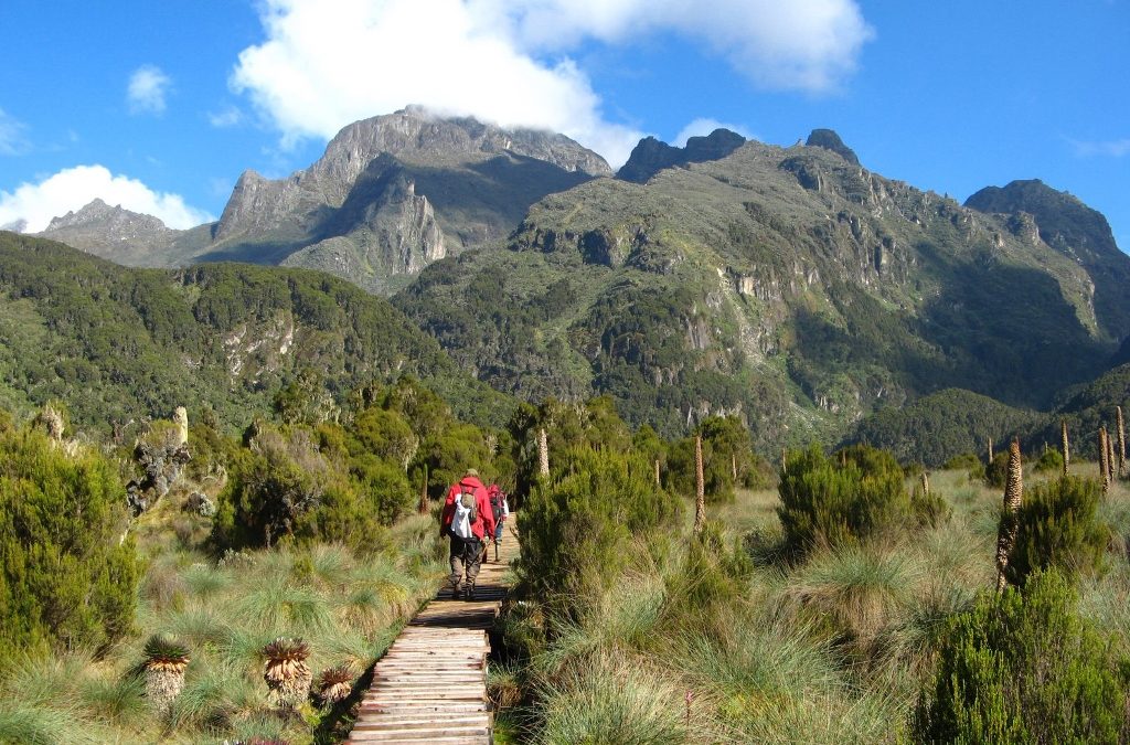 Activities for tourists in Uganda