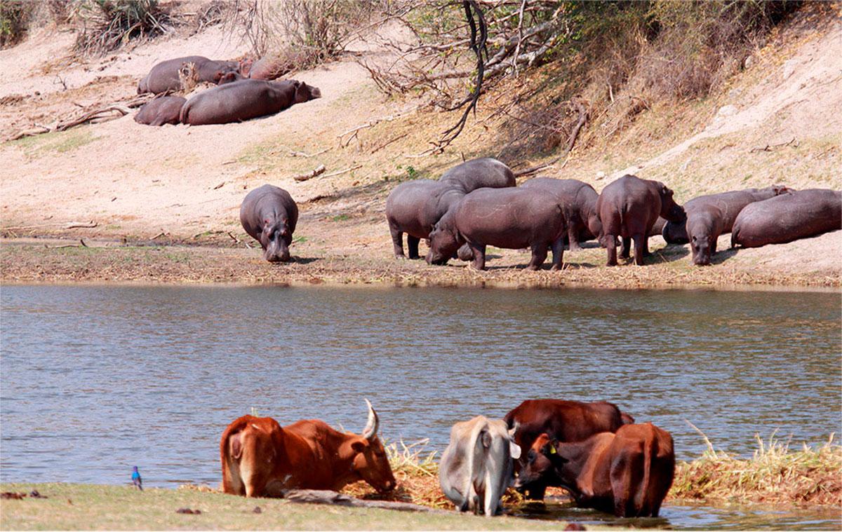 most visited national parks in Cameroon