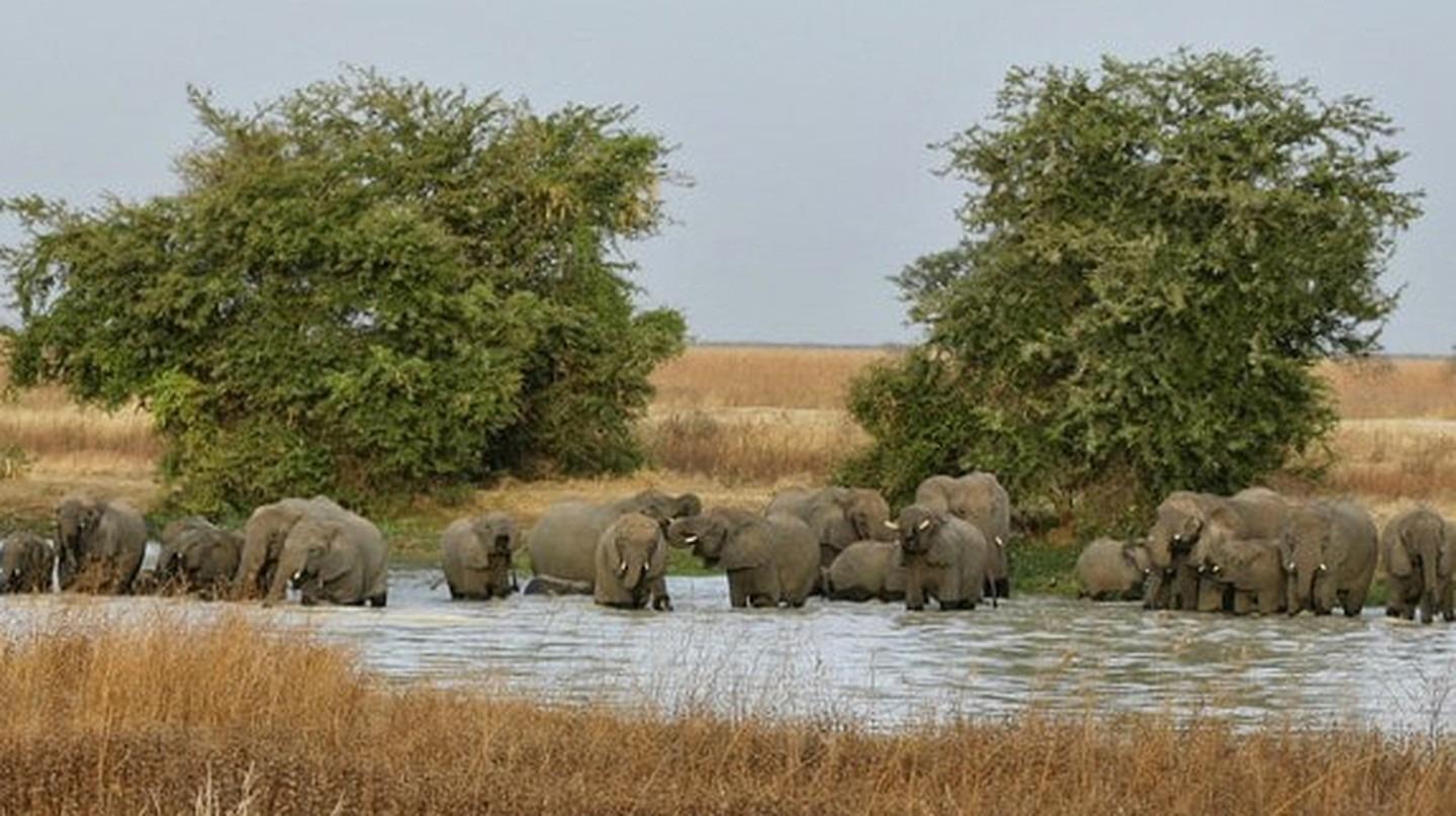 most visited national parks in Cameroon