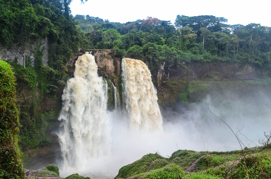 Best museums in Cameroon