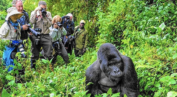 Bwindi Impenetrable National Park