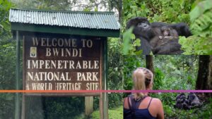 Bwindi Impenetrable National Park